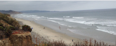 TorreyPines