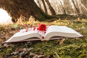 rose book