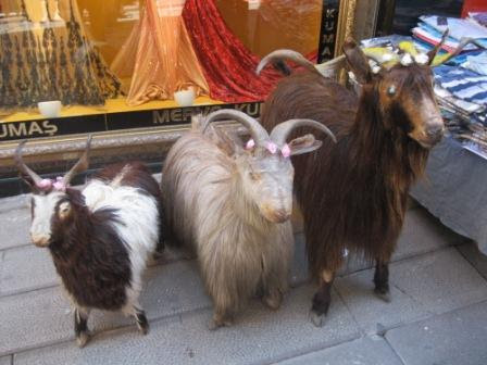 Shopping for unmentionables. Inside out in Istanbul