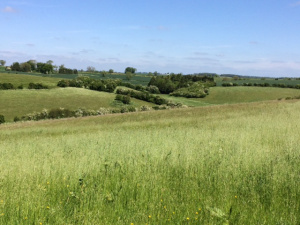 CotswoldCountryside