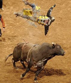 Professional Bull Riding - Photos - SI.com