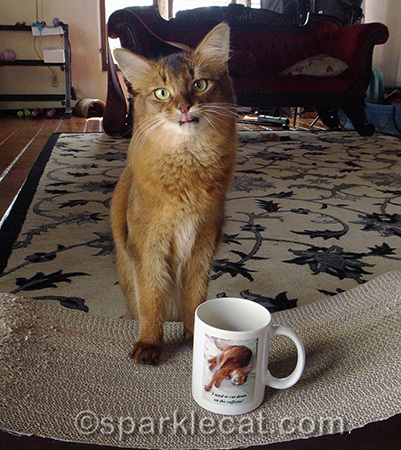 This is my face when I am denied treats.