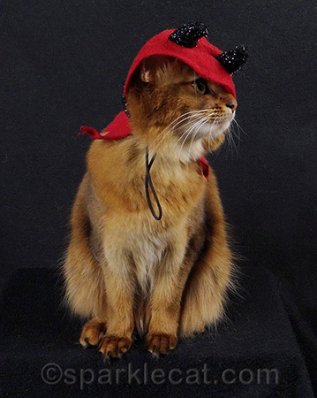I was really glad when I my human finally took this off.