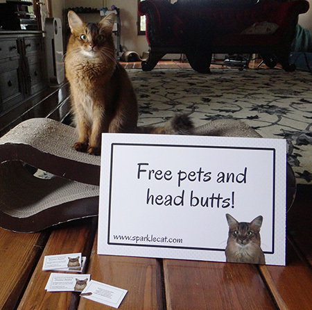 Free pets does not mean you can KEEP me!
