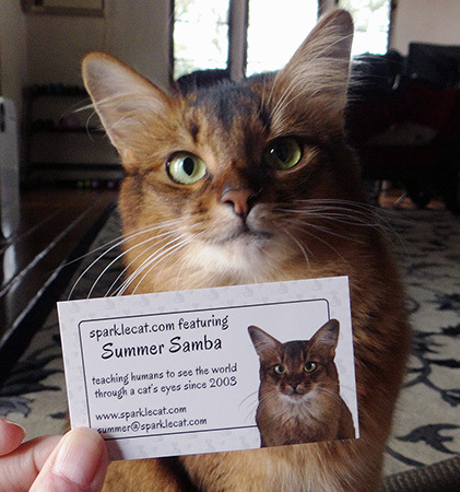 Do you think people will recognize me from my card?