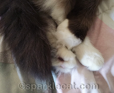 Yes, she has different colored toes