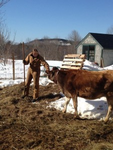 photo credit: Toddy Pond Farm