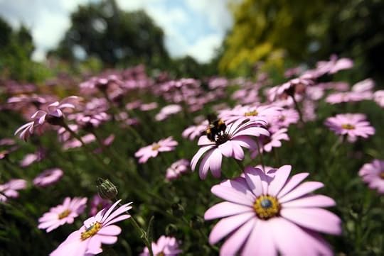 Flaming+Start+June+Britain+Basks+Warm+Weather+e-8nPHQcs68l