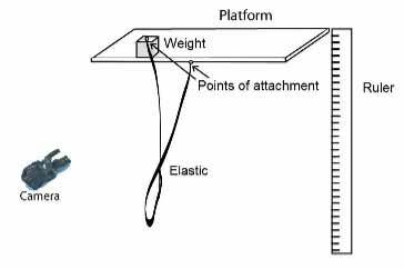 bungee-maths