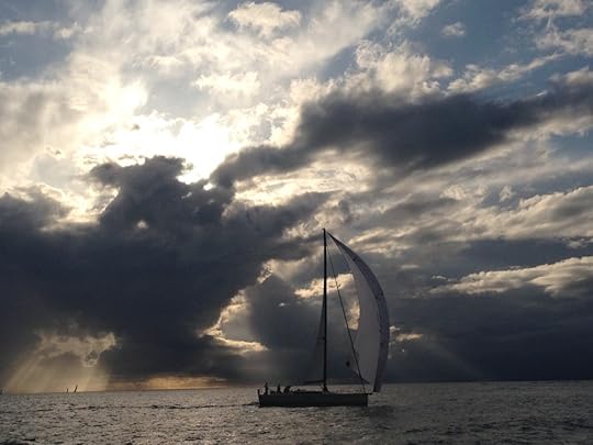 After the Rainstorm