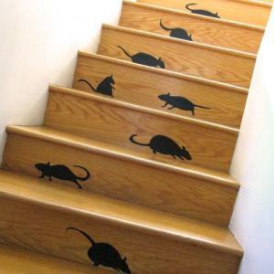Stairways + rat = sexual mistreatment? 
