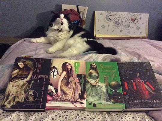 My cat and books!