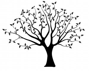 tree of life