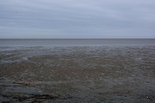 Strandblick