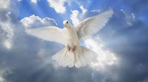 Image result for in the name of the father son and holy spirit