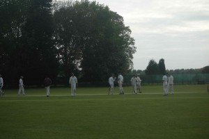 Ben and Andrew cricket