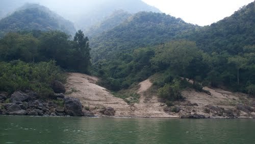 A view of the jungle near Rumpa from the Godavari river. The problem with mosquitoes, especially during the monsoon, can easily be envisaged.