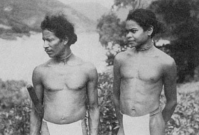 Tribal people such as these Hill Reddis on the banks of the Godavari may have had some resistance to malaria, as well as their own treatments (photo: Christoph von Furer-Haimendorf, Tribes of India).