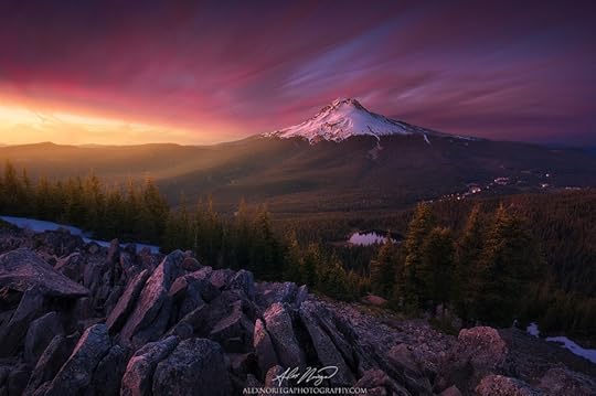 Photograph Lost by Alex Noriega on 500px