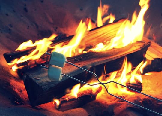 Photograph Makin' S'mores by Chloe Veltkamp on 500px