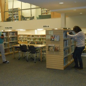 Photo courtesy of Shannon Acedo.