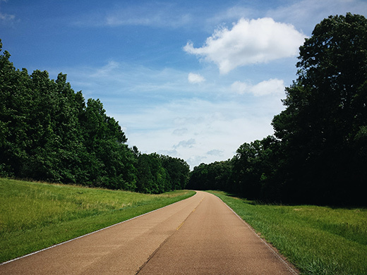 Driving on the Natchez Trace Parkway