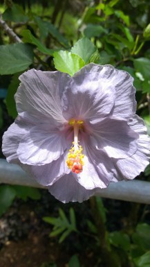 WP_20150506_12_13_38_Pro