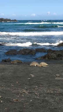 WP_20150507_15_06_59_Pro