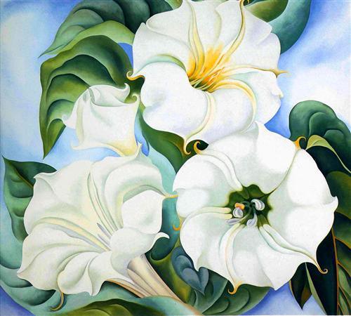 Jimson Weed