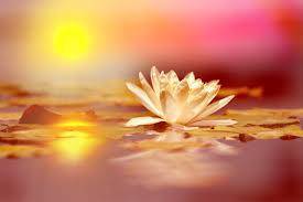 10983363_10154055183715200_2214456682484789181_n