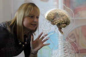 BRISTOL, UNITED KINGDOM - MARCH 10: Kerrie Grist looks at a real human brain being displayed as part of new exhibition at the @Bristol attraction on March 8, 2011 in Bristol, England. The Real Brain exhibit - which comes with full consent from a anonymous donor and needed full consent from the Human Tissue Authority - is suspended in a large tank engraved with a full scale skeleton on one side and a diagram of the central nervous system on the other and is a key feature of the All About Us exhibition opening this week. (Photo by Matt Cardy/Getty Images)