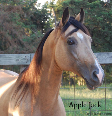 applejack