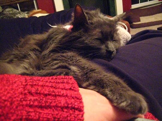 Holding paws
