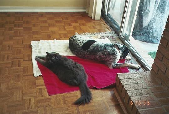 Hanging by the door together