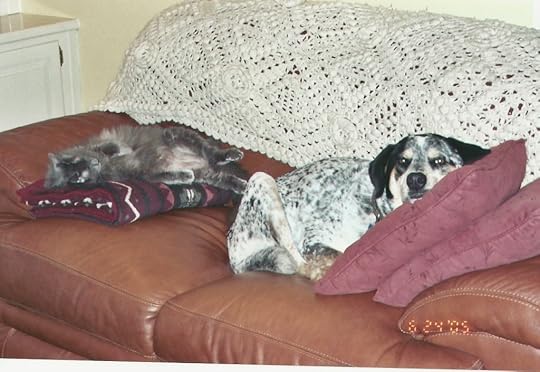 Couch buddies