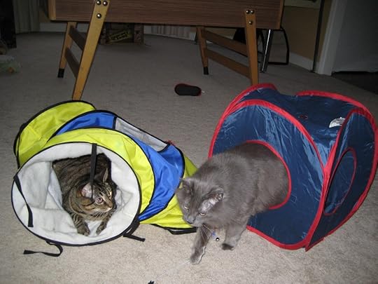 Play buddies