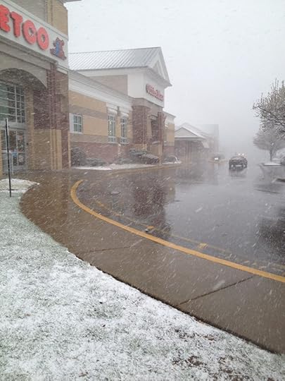 Petco Snow Squall