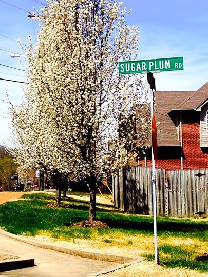 Sugar Plum Road