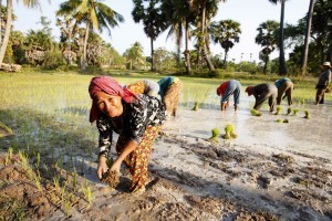 Cambodia_CNT_24oct12_rex_b