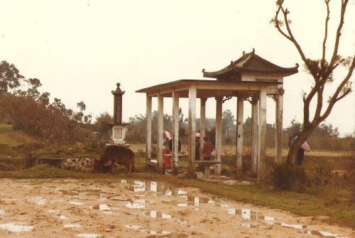 Eugene's great grandfather's grave