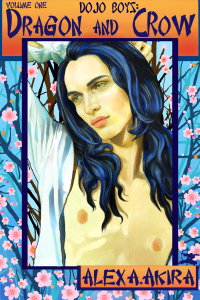 D-&-C-VOL-1-800X1200-COVER