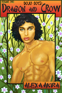 D&C-VOL-2-800X1200-COVER