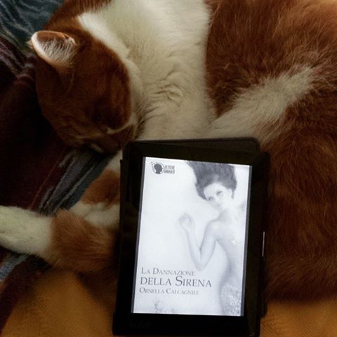 foto di Stefania Siano.