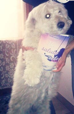 foto di Elisa Giunta.