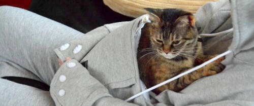 Mewgaroo-sweatshirt-hoodie