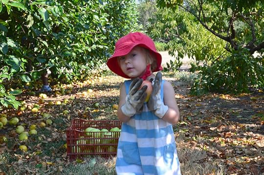 juniper-two-apple-picking