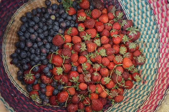 u-pick-berries