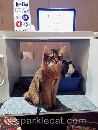 I examined it all over before giving it my paw of approval