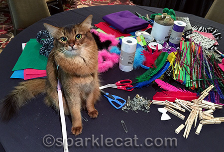 For the record, my human has no crafty skills