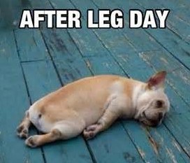 sore muscles